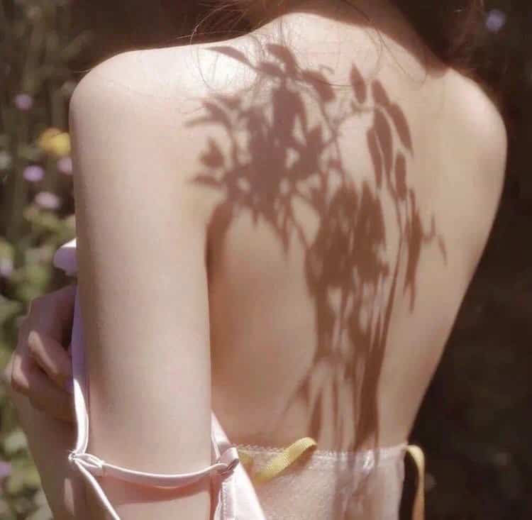 都市职场:精英律师