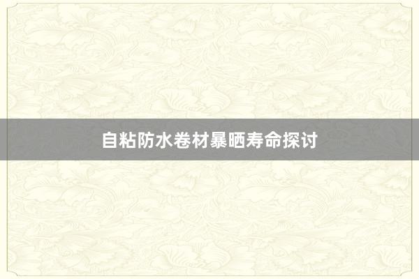 自粘防水卷材暴晒寿命探讨