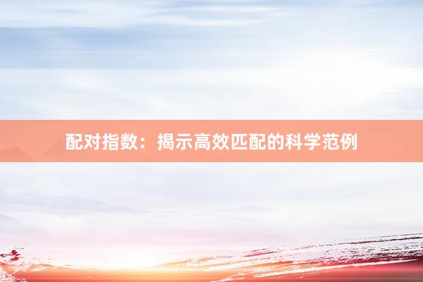 配对指数：揭示高效匹配的科学范例